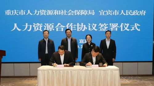川渝協(xié)同新突破 重慶與宜賓推出多項(xiàng)公共服務(wù)異地通辦